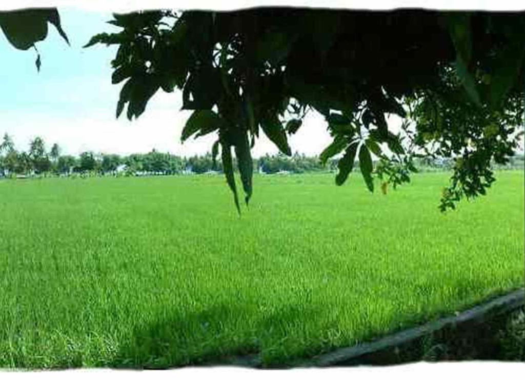 Отель Sawah Lovina Экстерьер фото